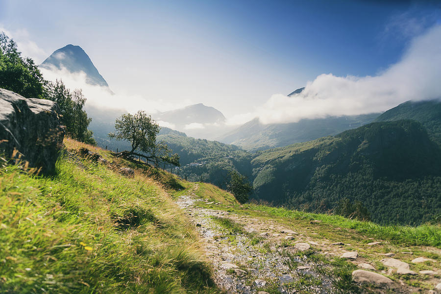 Tree Photograph - A Path Among The Mountains by Nicklas Gustafsson