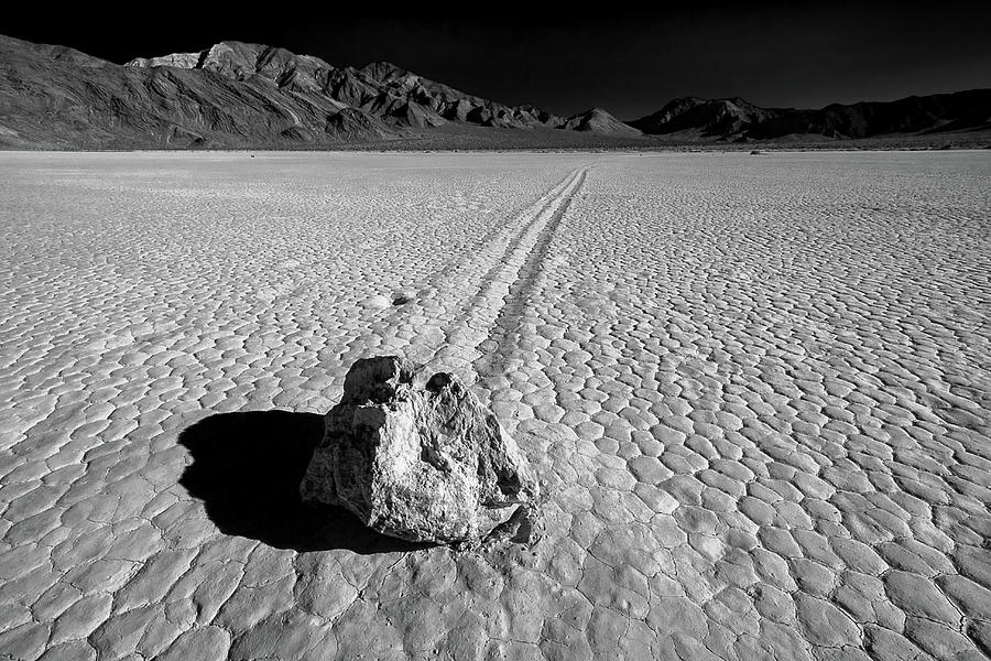 Black And White Digital Art - A Path Slowly Travelled by Phil Dyer