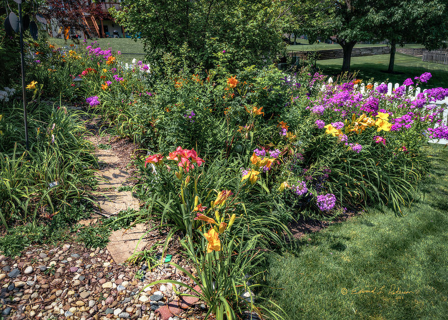 A Path Through The Flowers Photograph by Ed Peterson A Path Through The Flowers Photograph by Ed Peterson