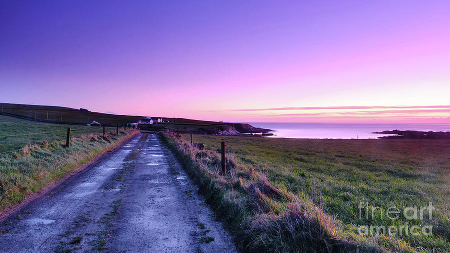 A Path to Purple Dawn Photograph by Lidija Ivanek - SiLa