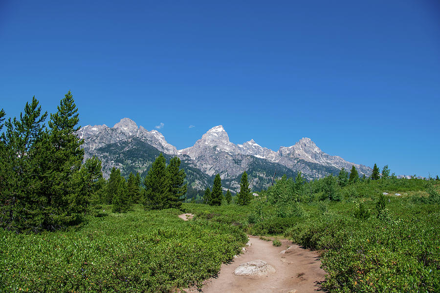 A Path to the Grand Teton Range Photograph by Rose Guinther