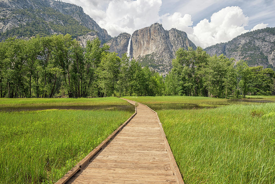 A Path To Wonder Yosemite Valley  Photograph by Joseph S Giacalone