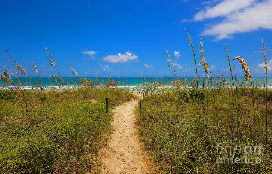 A Pathway to the Ocean Photograph by SCB Captures