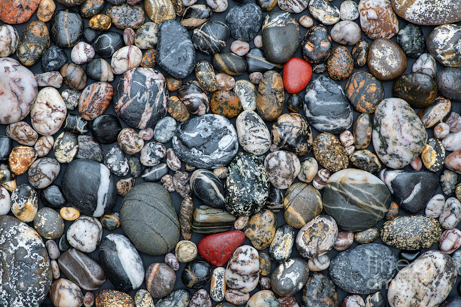 Pebbles Photograph - A Pattern of Pebbles by Tim Gainey