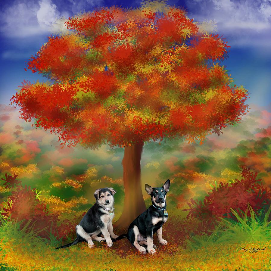 A Paws In The Country Digital Art