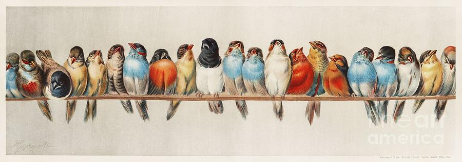 A Perch of Birds 1880 by Hector Giacomelli 1822-1904 Painting by Shop Ability
