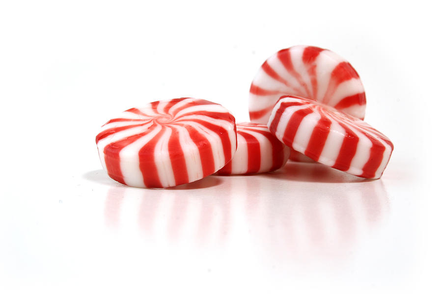 A picture of four peppermint candies on a white background Photograph by Kristinekreations