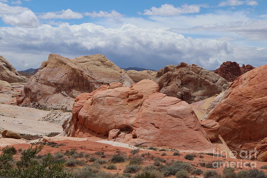 A Picturesque Desert Landscape Photograph by Christiane Schulze Art And Photography