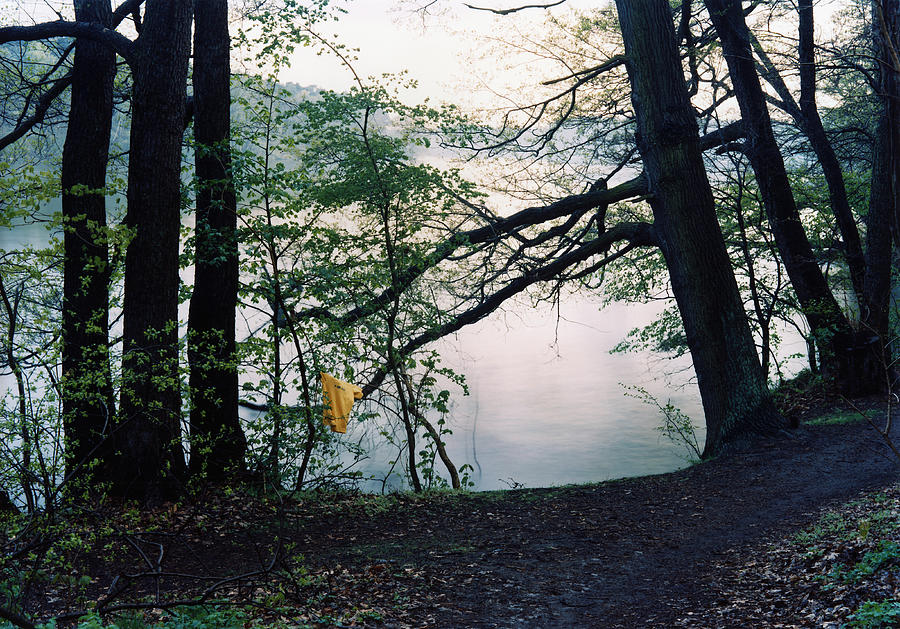 A piece of fabric hanging from a tree by a lake Photograph by Gregor Hohenberg