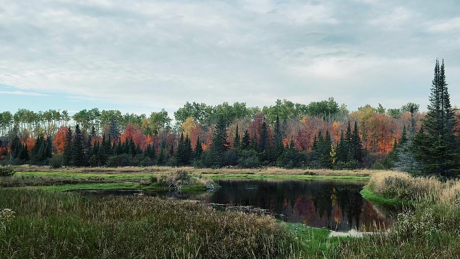 A Piece Of Seclusion Photograph by Jason Tompkins - Fine Art America