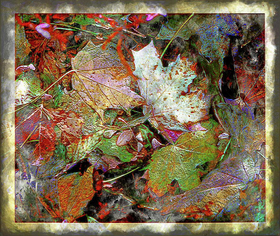 Leaves Digital Art - A Pile of Leaves by Rick Lawler Leaves Digital Art - A Pile of Leaves by Rick Lawler