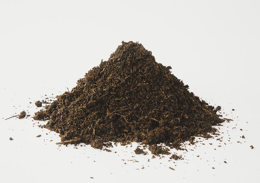 A pile of organic compost on a white background. Photograph by Mint Images/ Paul Edmondson