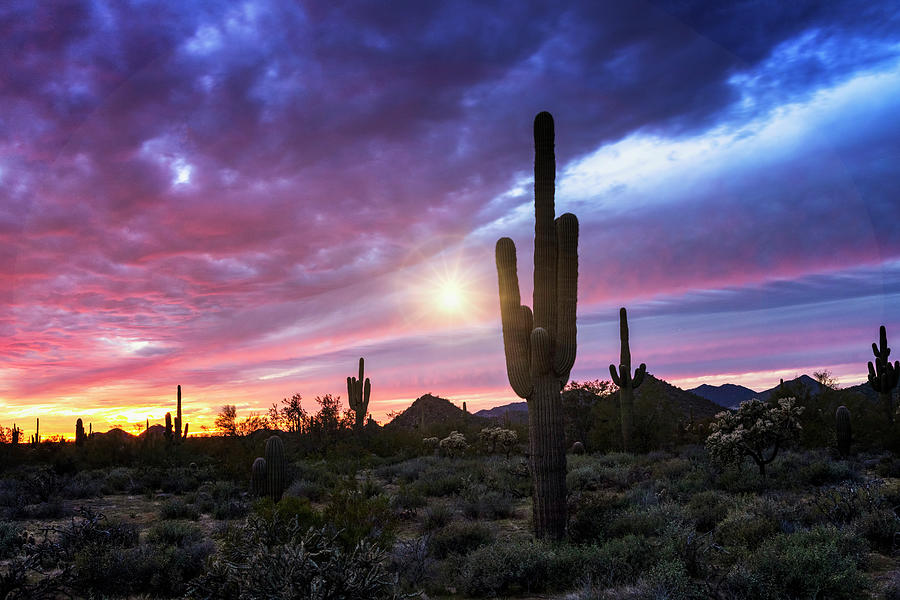 A Pink Desert Sunset Photograph by Saija Lehtonen | Pixels
