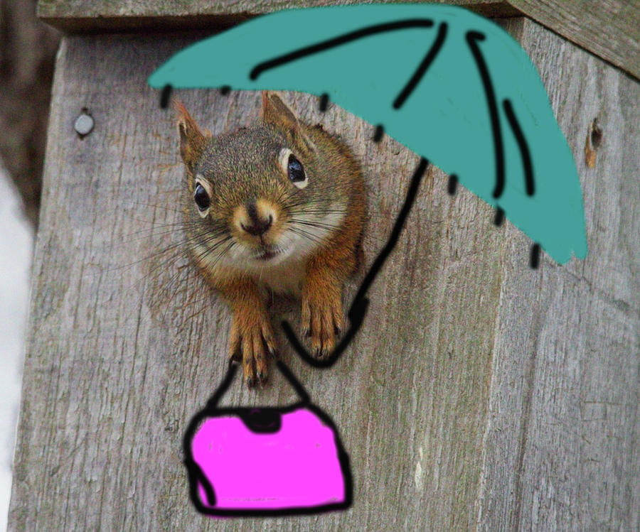 A pink purse and turquoise umbrella Photograph by Sharon Wilkinson