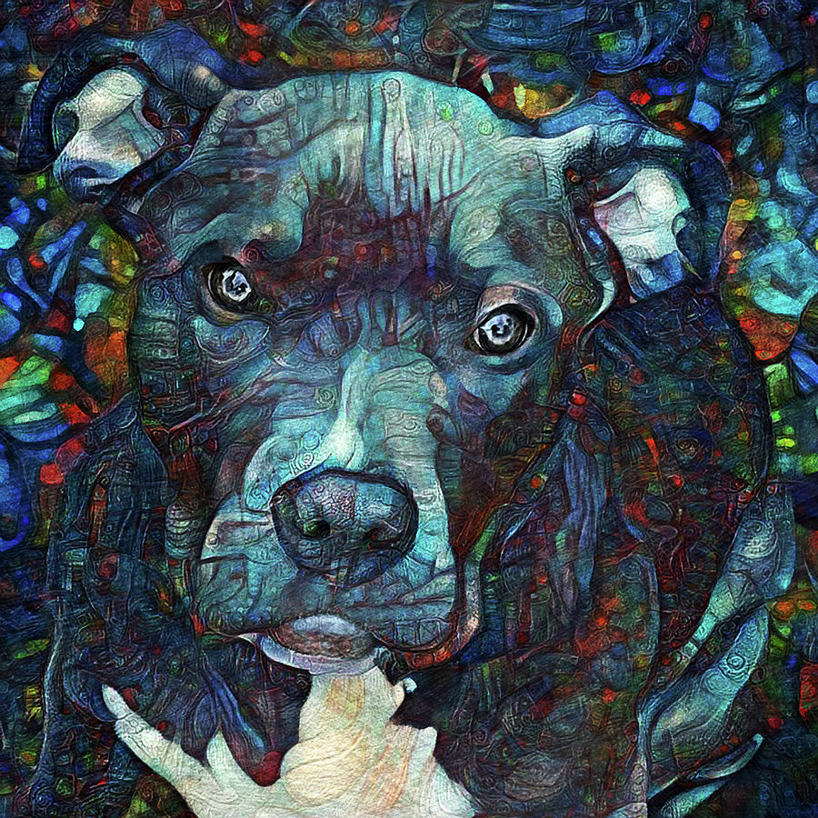 A Pit Bull Named Nirvana Digital Art by Peggy Collins