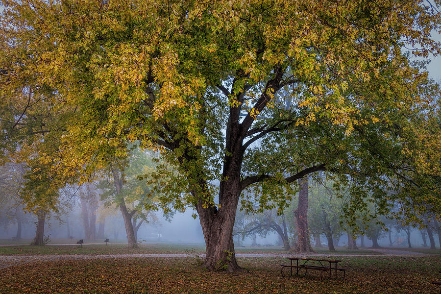 A Place to Enjoy Fall Photograph by Scott Bean