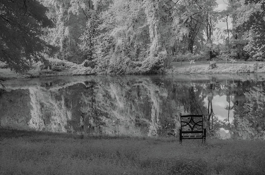 A place to reflect on trees Photograph by Alan Goldberg