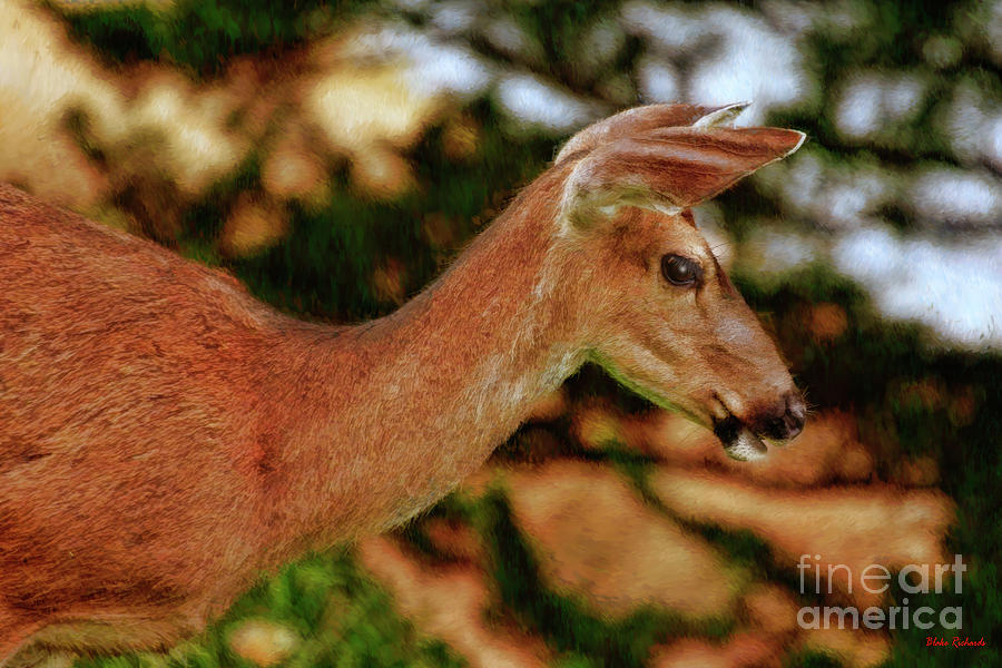 A Pofile Deer Photograph by Blake Richards