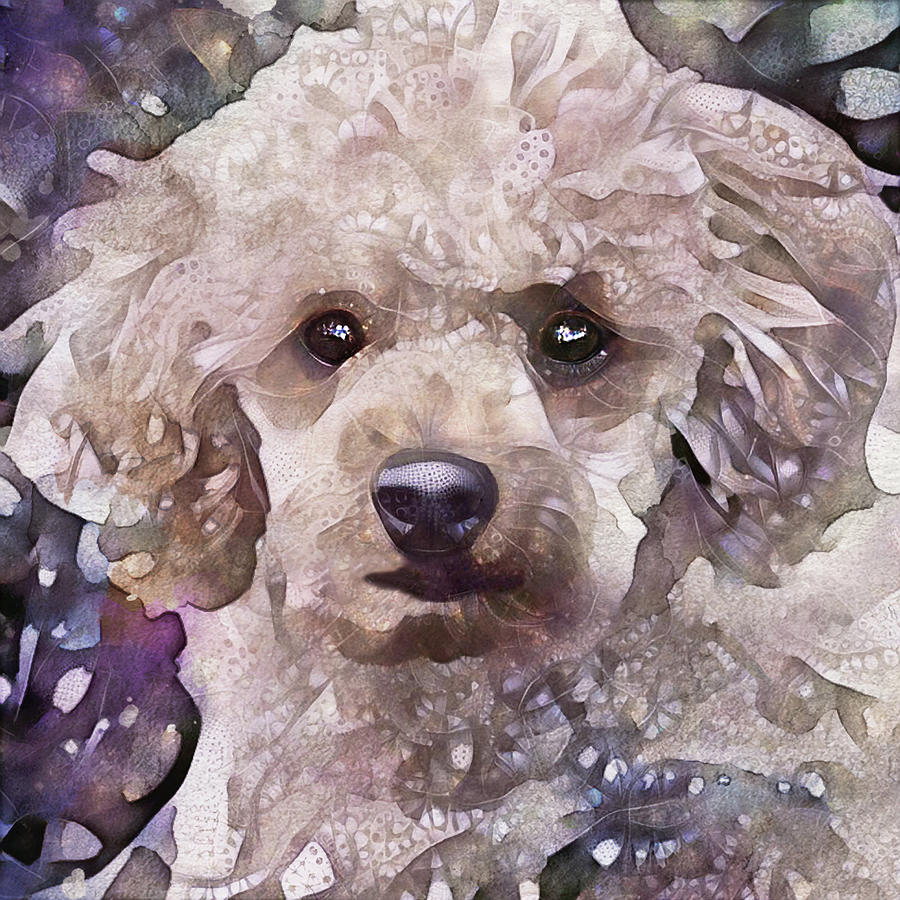 A Poodle Named Doodle Digital Art by Peggy Collins