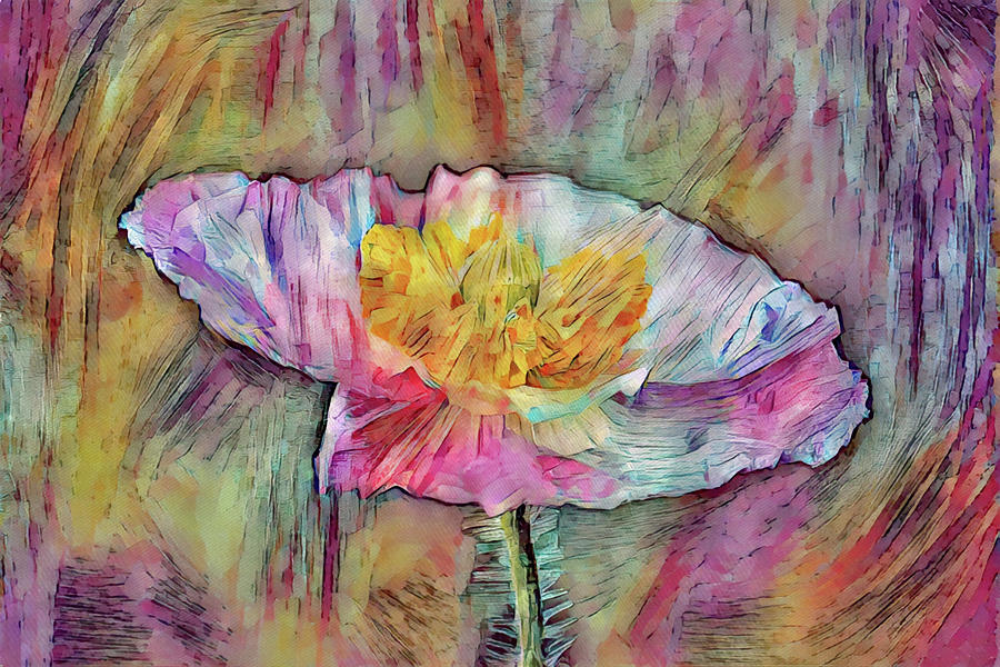 A Poppy Pop of Color Digital Art by Gaby Ethington