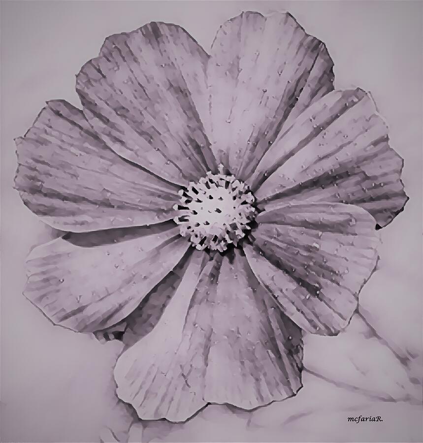 A Portrait, Of A Cosmo, In Photographic Charcoal Dawn Design Digital Art