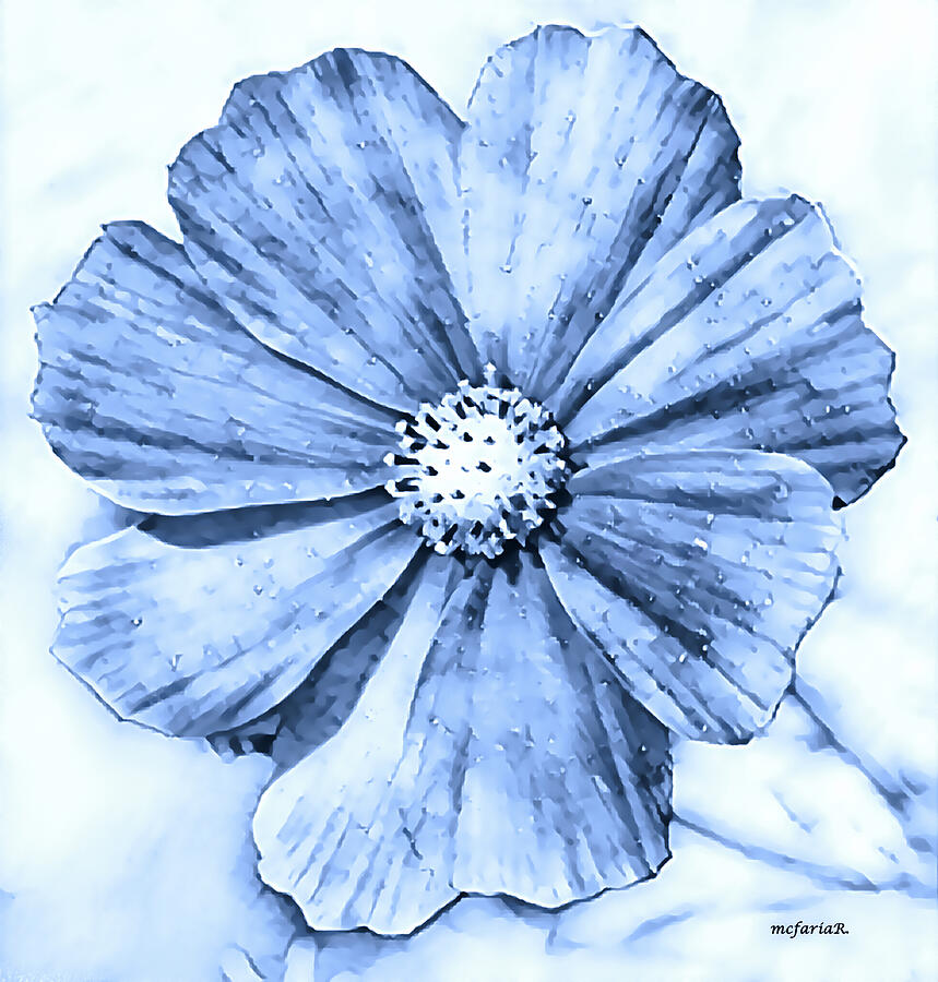 A Portrait, Of A Cosmo, In Photographic Charcoal Sapphire Design Digital Art