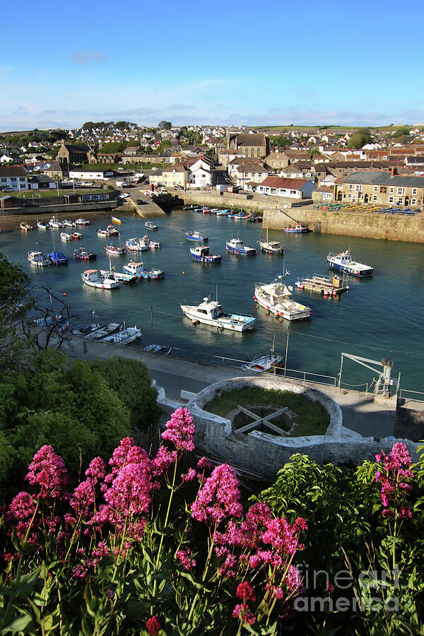 A Portrait of Porthleven Photograph by Terri Waters
