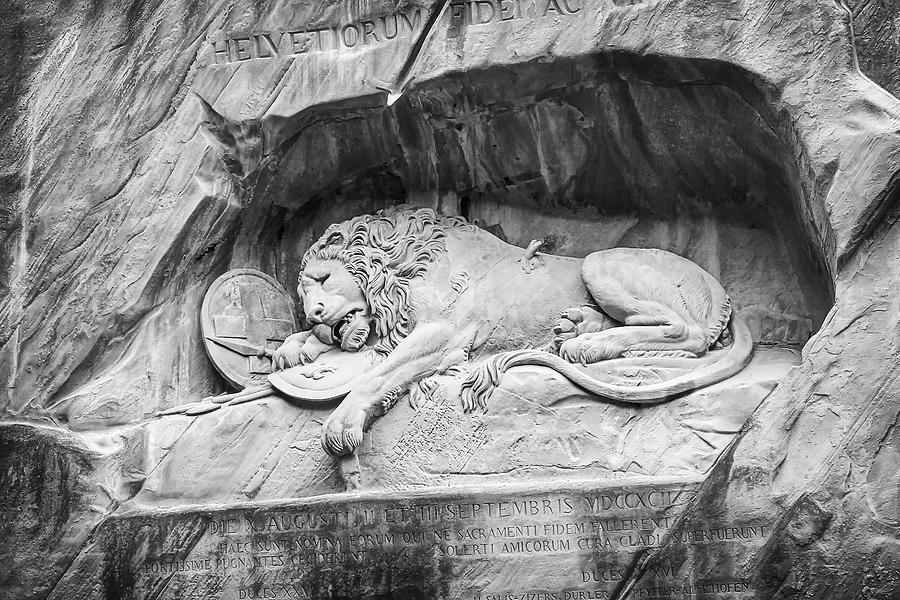 A Portrait of The Lion of Lucerne Photograph by Carol Japp