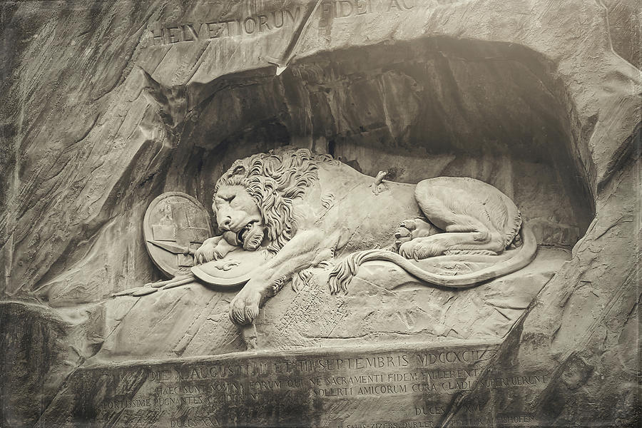 A Portrait of The Lion of Lucerne Vintage Photograph by Carol Japp