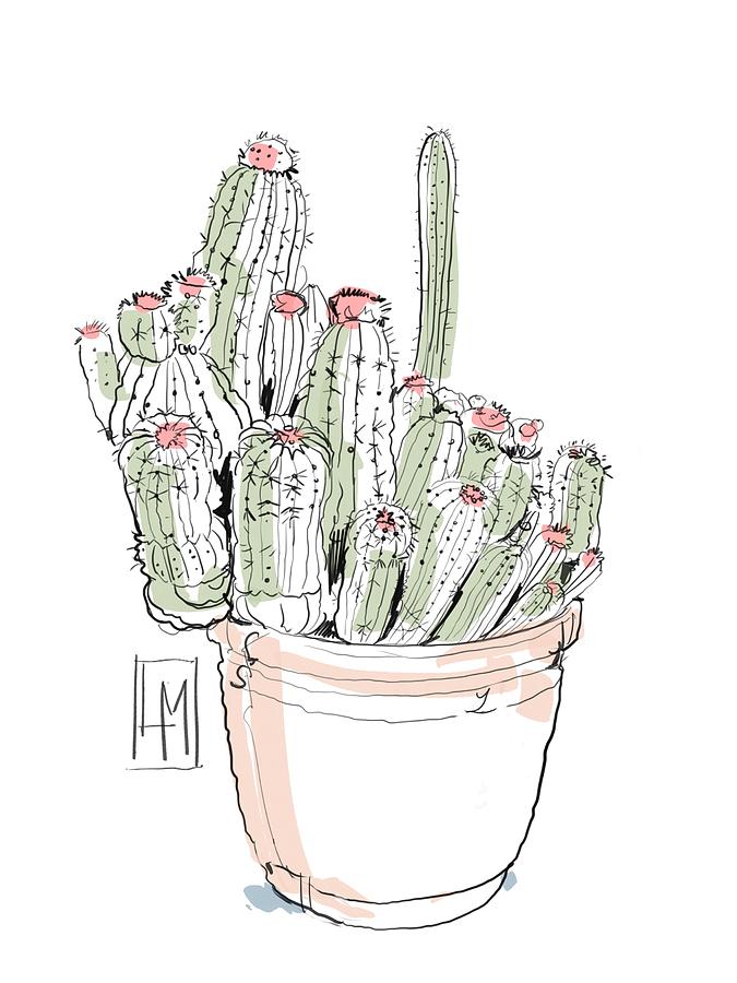 Nature Drawing - A Pot Cactus by Luisa Millicent