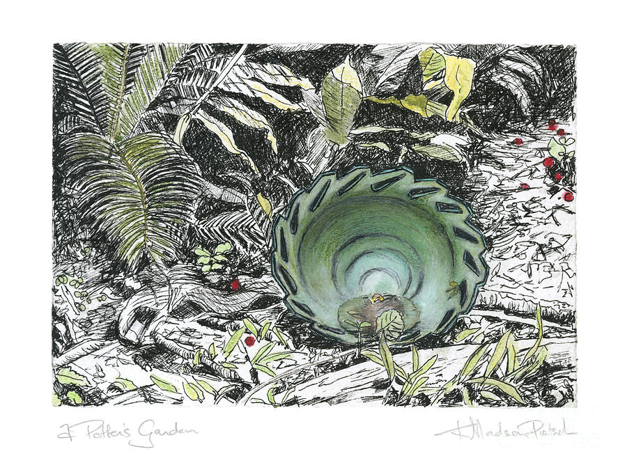 A Potters Garden - Section 01 Drawing by Kerryn Madsen- Pietsch