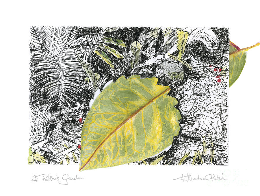 A Potters Garden - Section 03  Drawing by Kerryn Madsen- Pietsch