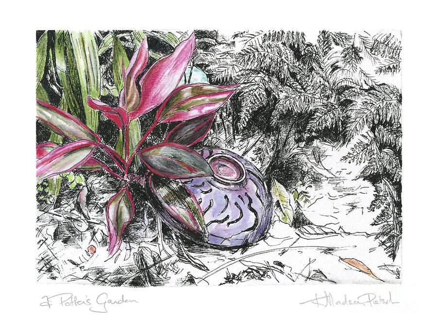 A Potters Garden - Section 05 Drawing by Kerryn Madsen- Pietsch