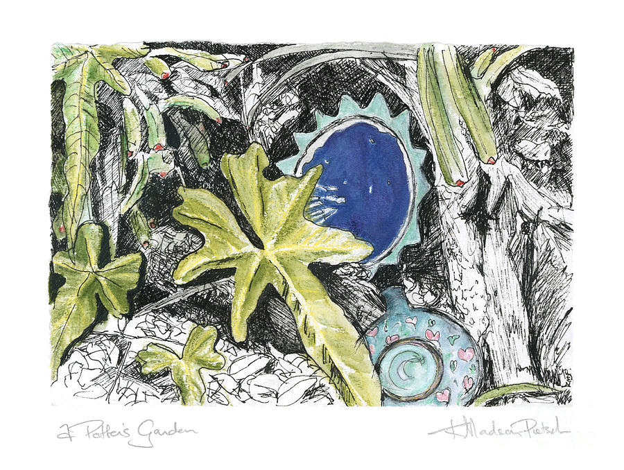 A Potters Garden - Section 06 Drawing by Kerryn Madsen- Pietsch