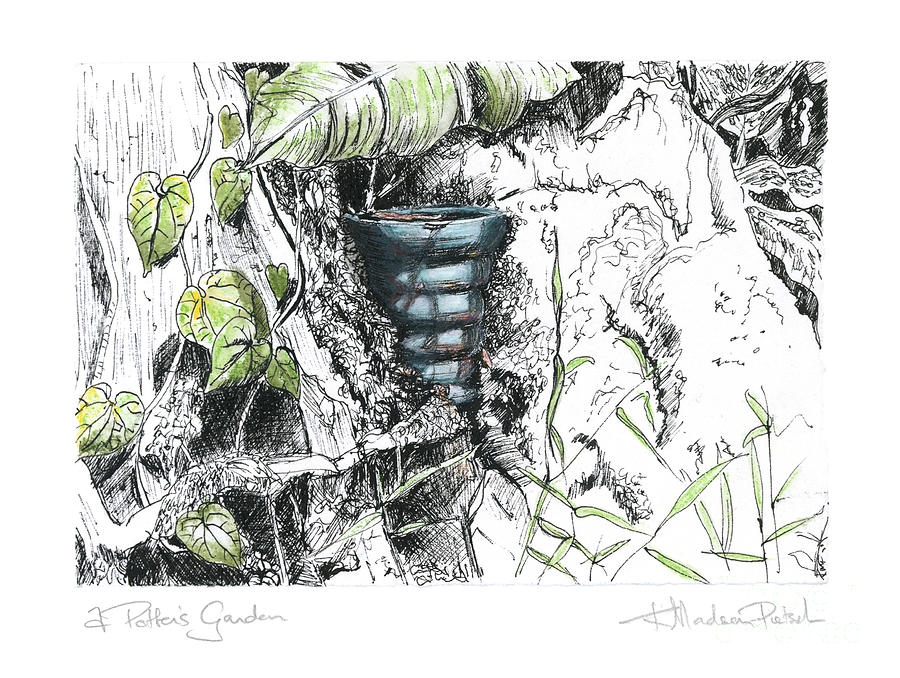Nature Drawing - A Potters Garden - Section 07 by Kerryn Madsen- Pietsch