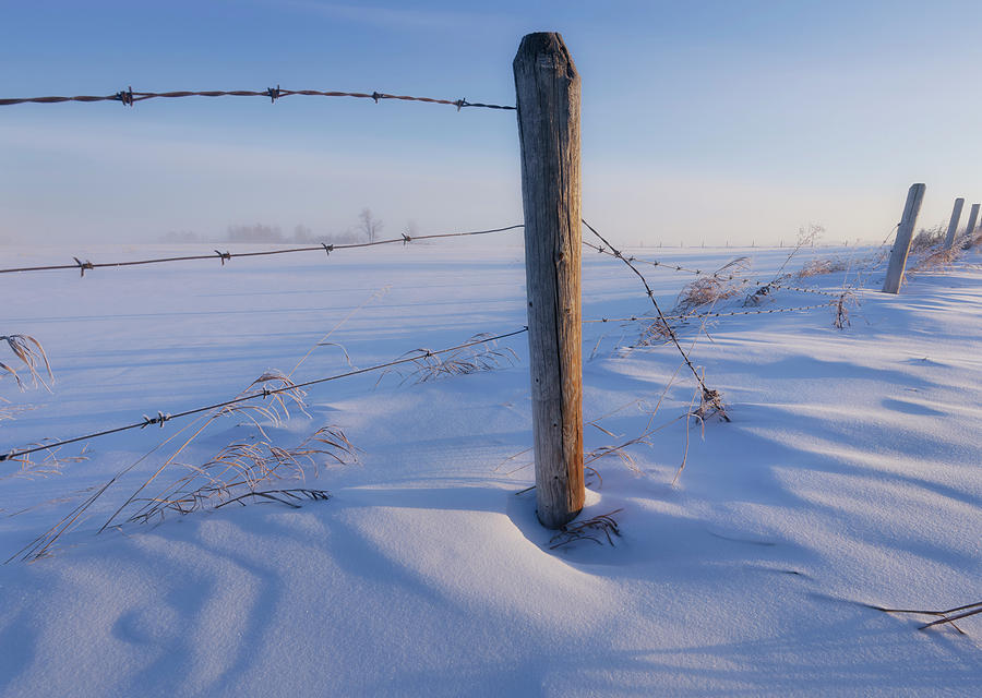 A Prairie Icon Photograph by Dan Jurak