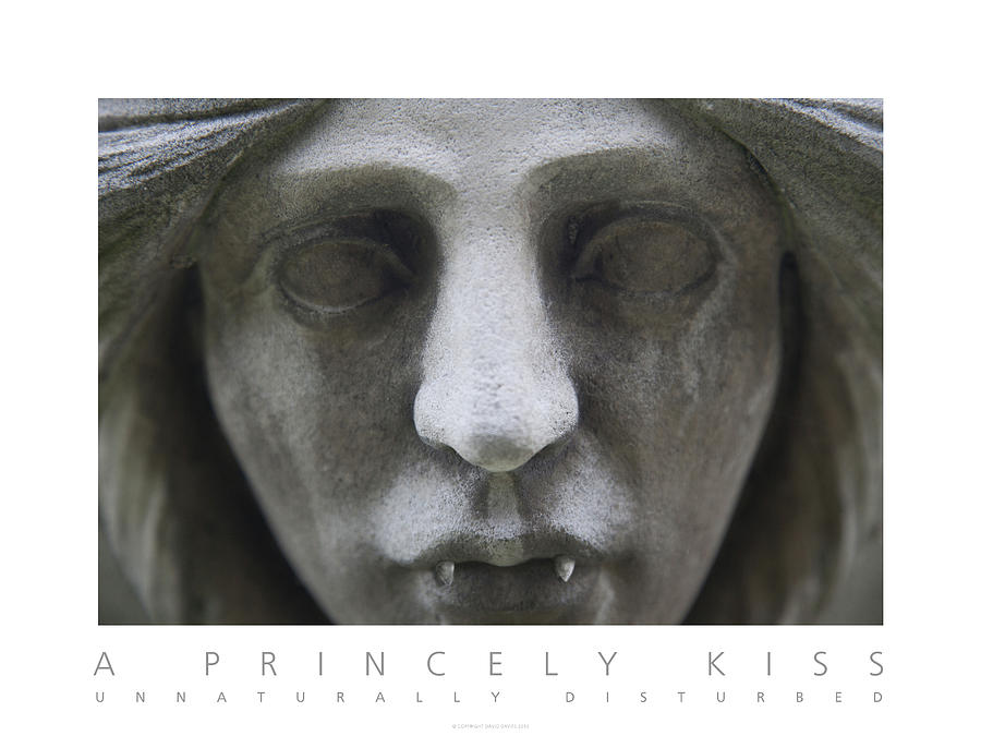 A Princely Kiss Unnaturally Disturbed Poster Photograph by David Davies