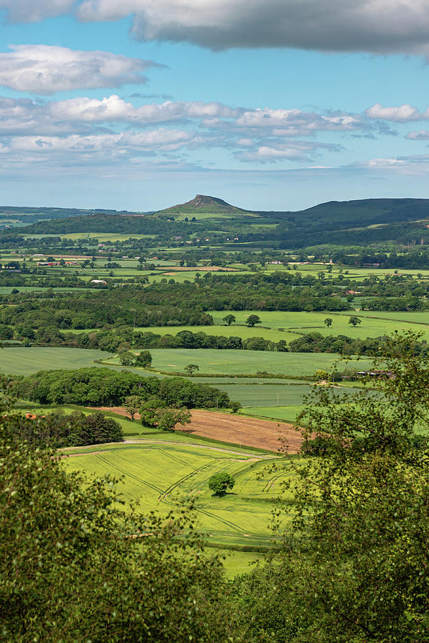 A prospect of Roseberry Topping Photograph by Gary Eason