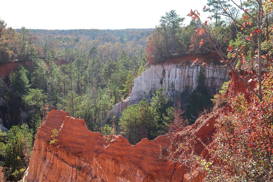 A Providence Canyon Scoop Photograph by Ed Williams