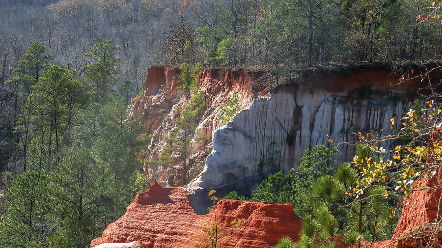 A Providence Canyon Side Close Photograph by Ed Williams