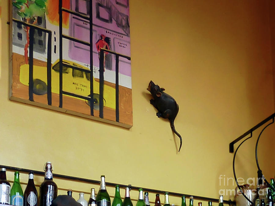 A pub wall with a rat Photograph by Pics By Tony