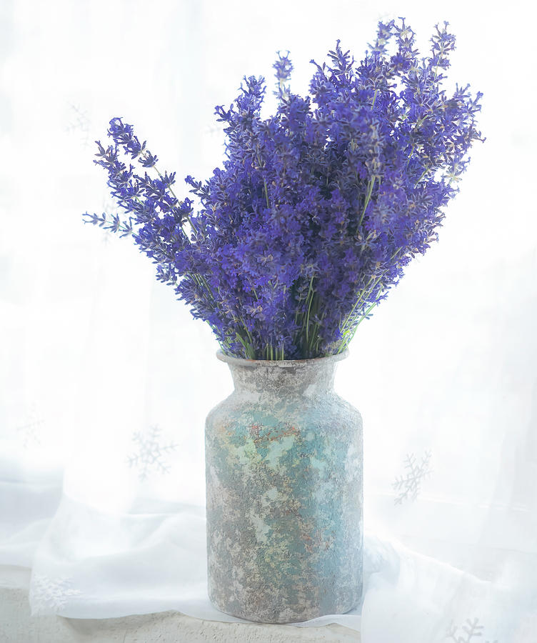 A Purple Bouquet Photograph by Sylvia Goldkranz