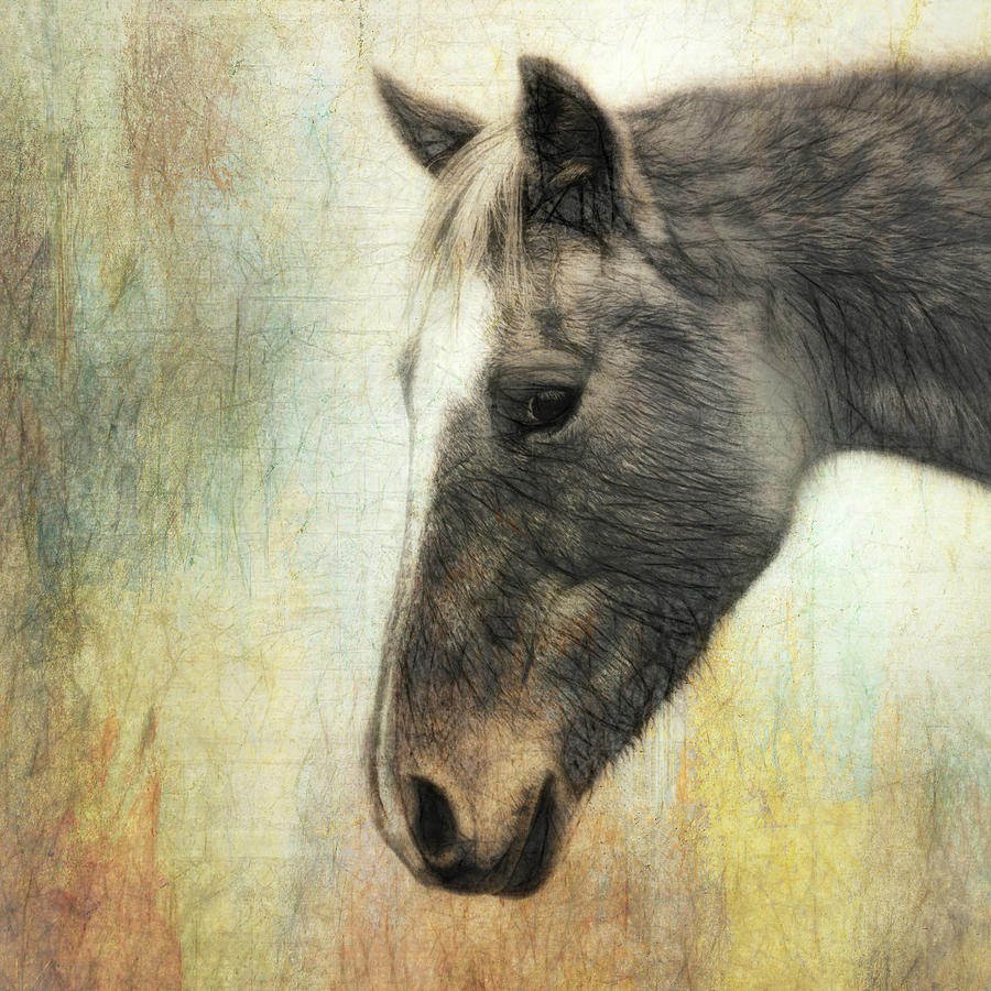 A Quiet Moment Horse Art Print Mixed Media