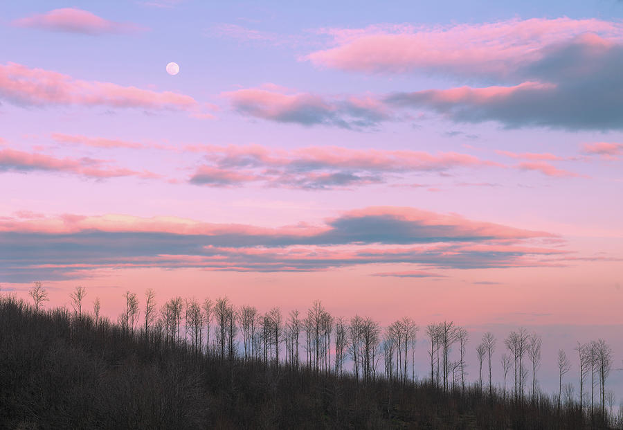 A quiet pink sunset on the hill Photograph by Mirko Chessari