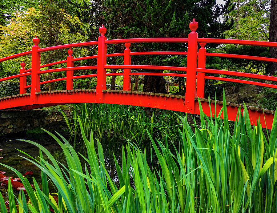 A quintessential red bridge in the Japanese Gardens at Tully, County Kildare, Ireland Photograph by Panoramic Images