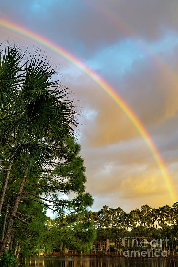 A rainbow over a community lake in Naples, Florida Photograph by William Kuta