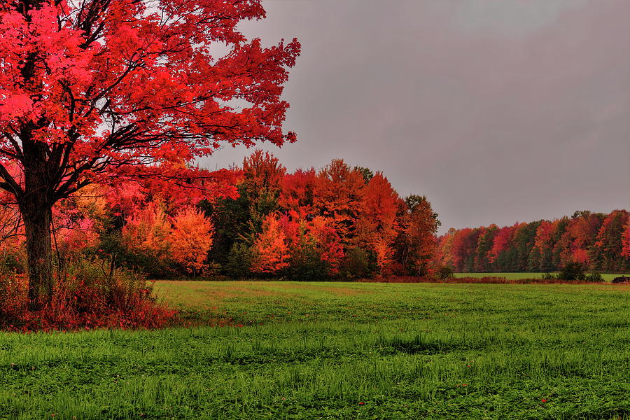 A Rainy Colorful Wisconsin Autumn Afternoon Photograph
