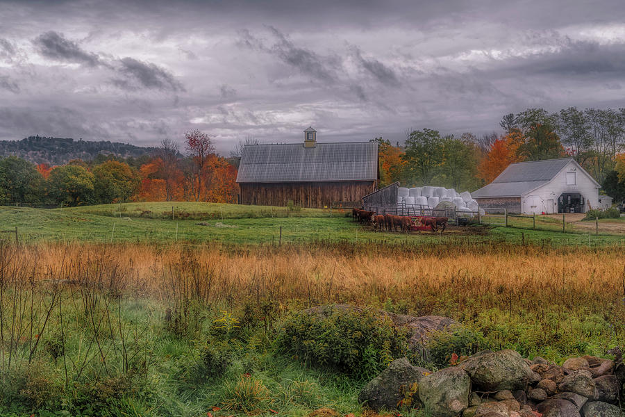 A Rainy Day at Remick Farm Photograph by Penny Polakoff