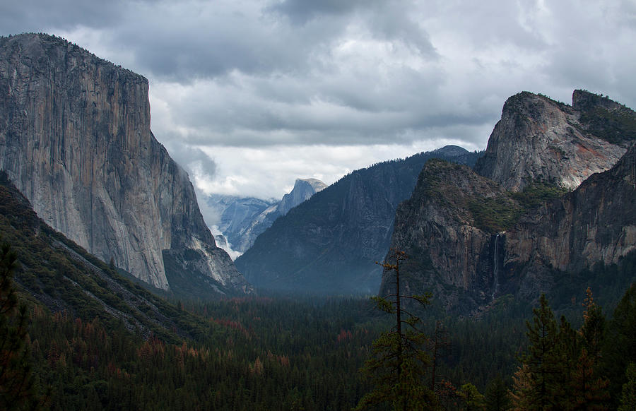 A Rainy Day in Heaven Photograph by Shannon Renshaw - Fine Art America