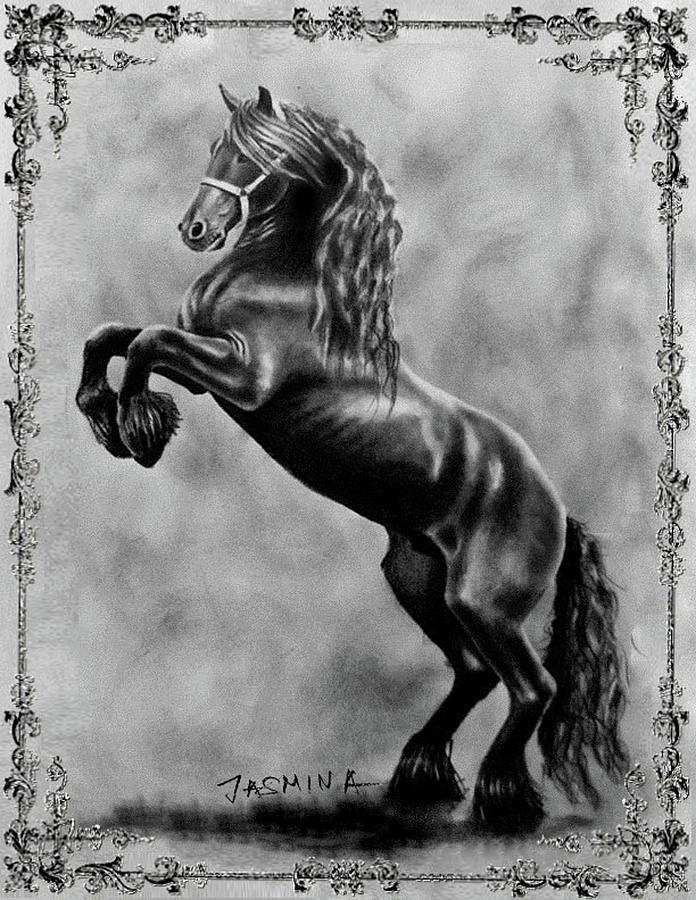 A Rampant Horse Pencil Drawing Drawing by Jasmina Susak Fine Art
